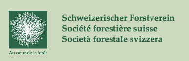 societe forestiere suisse